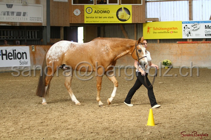 24-ApHC HIH_086.jpg